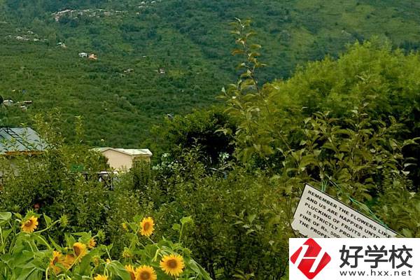 長(zhǎng)沙公辦中職學(xué)校好不好？都有哪些學(xué)校？