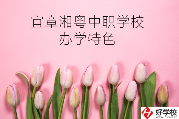 宜章湘粵中職學(xué)校在哪？有什么辦學(xué)特色？