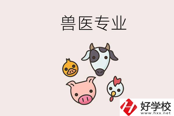 湖南哪些職校能學獸醫(yī)專業(yè)？學獸醫(yī)前景怎么樣？