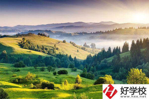 衡陽的中專學校有哪些新開設(shè)的專業(yè)？