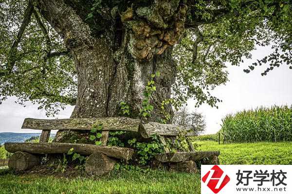 湖南特教中等專業(yè)學(xué)校有專業(yè)、資助政策。