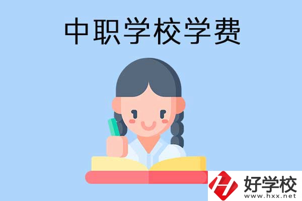 懷化地區(qū)公辦中職學校學費怎么樣？有哪些資助政策？