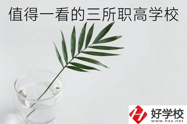 湖南有什么好的職高學(xué)校？這3所學(xué)校值得一看！