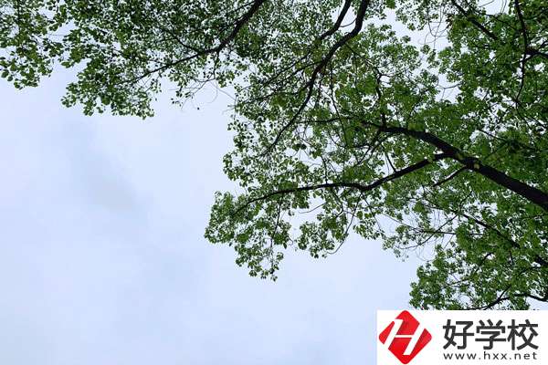 衡南縣職業(yè)中專學校的宿舍和食堂環(huán)境怎么樣？