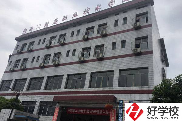 武岡市精益職業(yè)技術(shù)學校的學校特色有哪些？