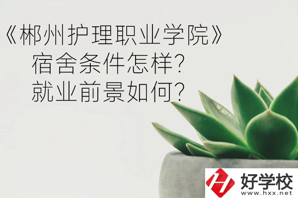郴州護理職業(yè)學(xué)院宿舍條件怎樣？就業(yè)前景如何？