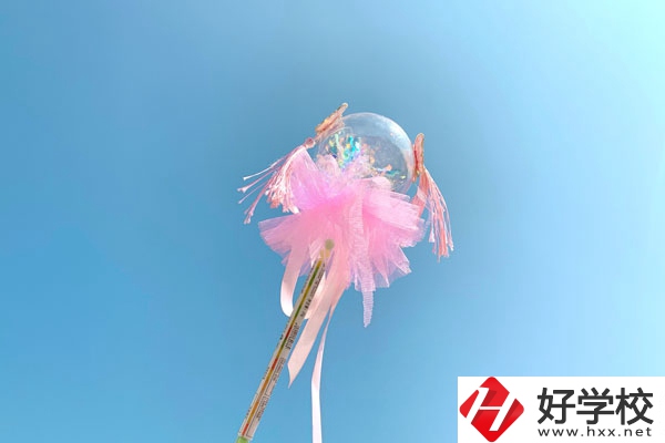 邵陽縣有什么中專學校？師資力量如何？