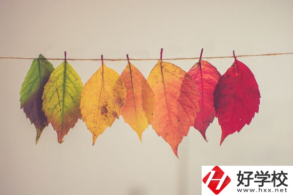 長沙益立中等職業(yè)學(xué)校有哪些特色專業(yè)？
