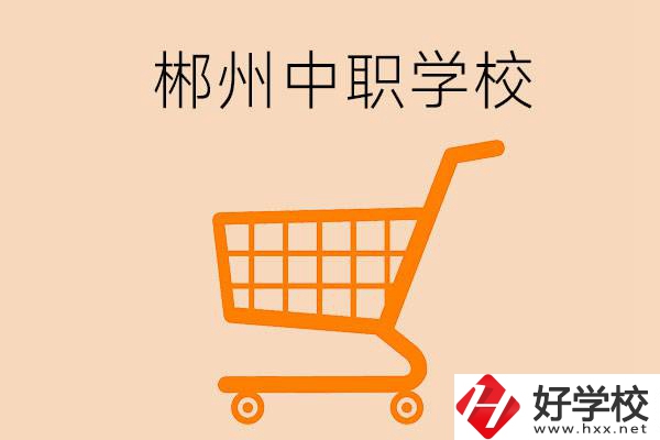 郴州哪些中職學(xué)校開(kāi)設(shè)了電子商務(wù)專(zhuān)業(yè)？