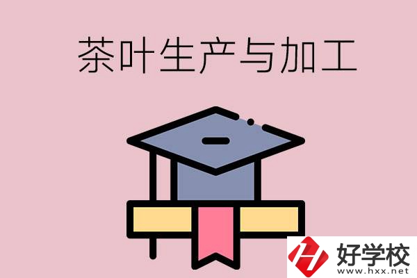 湖南哪些技校開設了茶葉生產(chǎn)與加工專業(yè)？