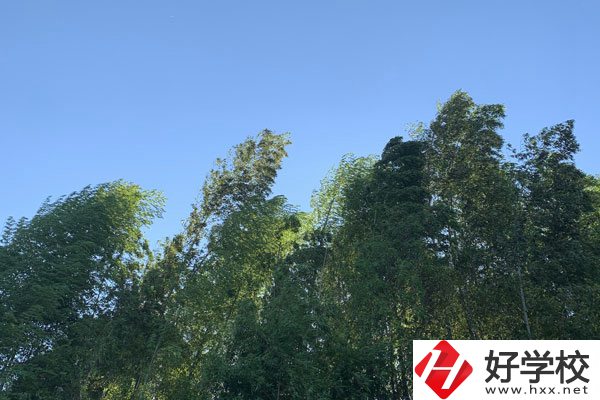 張家界協(xié)力技工學校好不好？就業(yè)前景怎么樣？