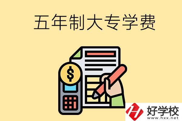 在長(zhǎng)沙讀五年制大專(zhuān)一年學(xué)費(fèi)是多少？有補(bǔ)貼嗎？