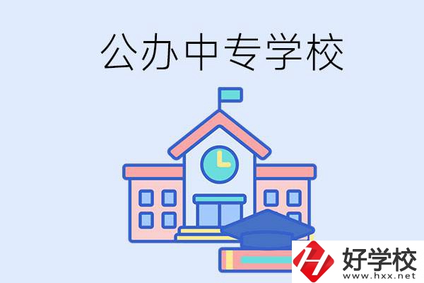 湘西一共有多少所公辦的中專學校？