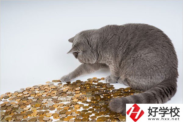 邵陽的職高一年學(xué)費(fèi)是多少？比較便宜的學(xué)校有哪些？