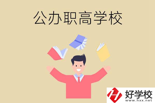 婁底公辦的職高學校有幾所？