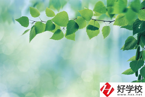 永州工商職業(yè)中等專業(yè)學校哪些是特色專業(yè)？好就業(yè)嗎？