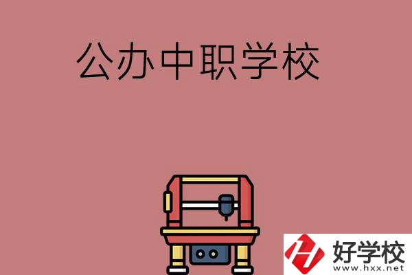 長(zhǎng)沙可以學(xué)計(jì)算機(jī)應(yīng)用專業(yè)的公辦中職學(xué)校有哪些？