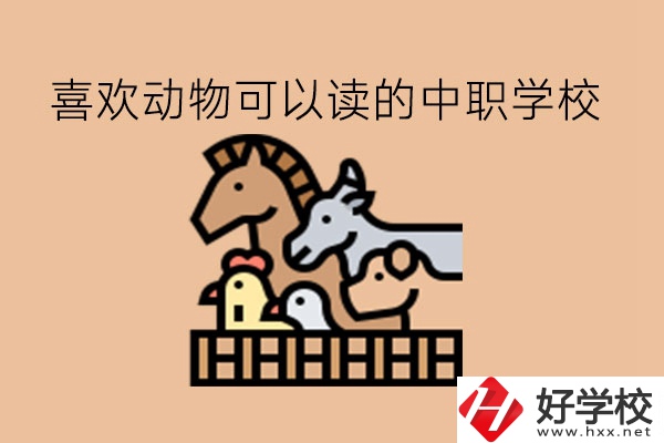 喜歡動物的學(xué)生，可以讀這些中職學(xué)校!