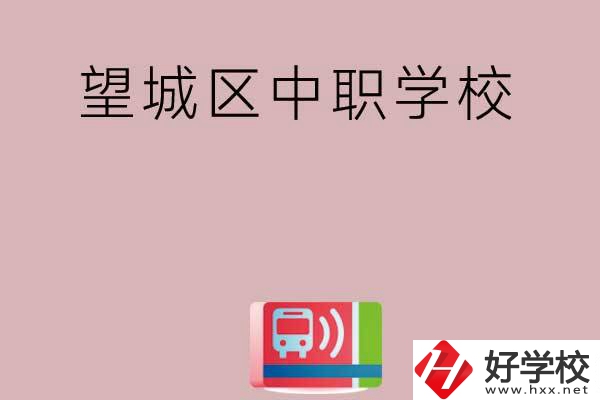 長沙望城區(qū)有哪些中職學(xué)校？