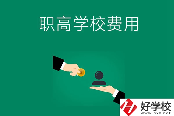 上懷化的公立職高學校要多少費用？