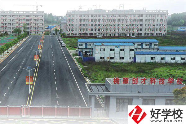 桃源縣有幾所民辦中職學校？實力如何？