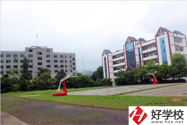 城步苗族自治縣職業(yè)中專學(xué)校開設(shè)了哪些專業(yè)？