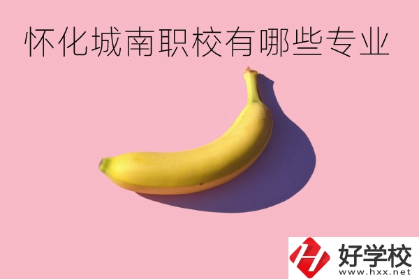 懷化城南職業(yè)學(xué)校有哪些專業(yè)？學(xué)校好不好？