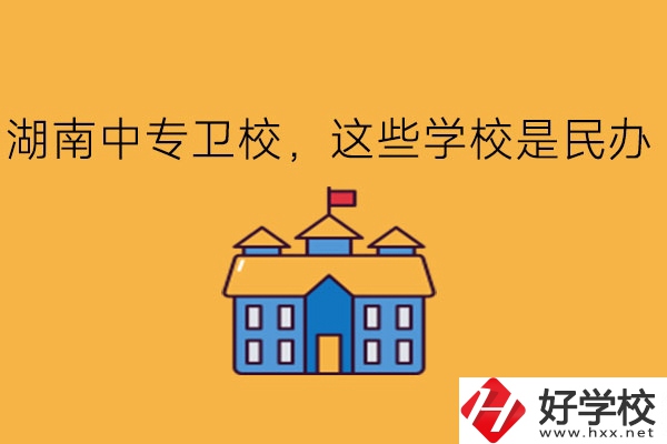 湖南中專衛(wèi)校，這些學(xué)校是民辦!