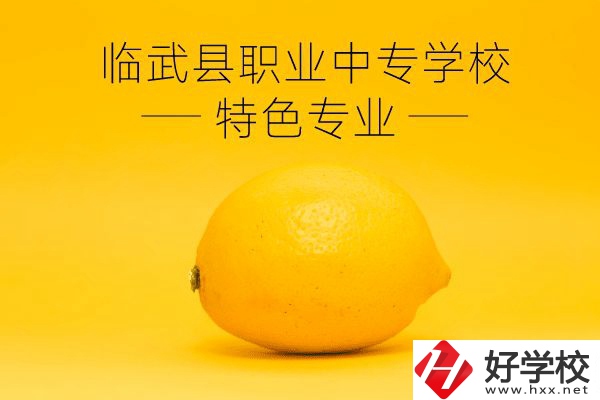 臨武縣職業(yè)中專學(xué)校好嗎？有哪些特色專業(yè)？