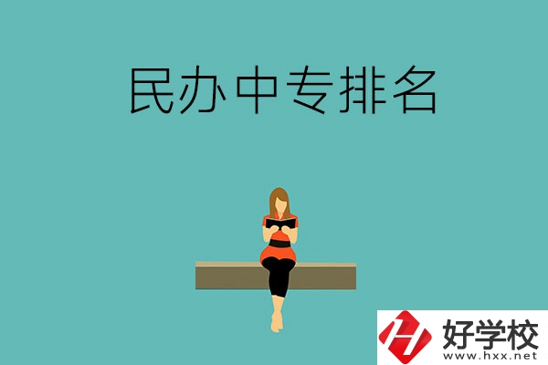 懷化民辦中專排名前五的學校是哪些？