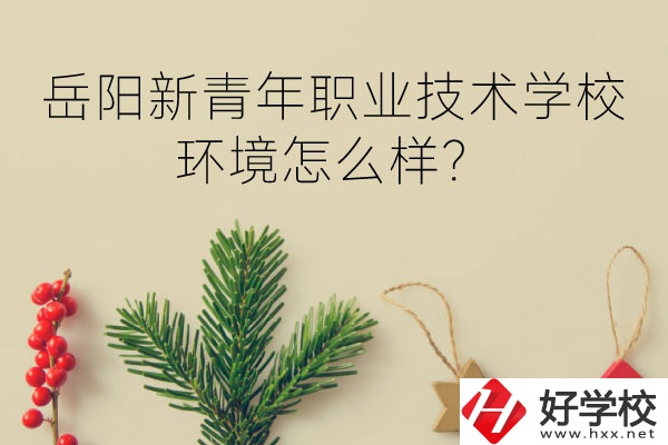 岳陽新青年職業(yè)技術(shù)學(xué)校好不好？環(huán)境怎么樣？
