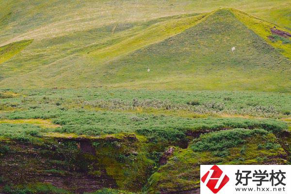 湖南衡南職業(yè)中等專業(yè)學(xué)校好嗎？學(xué)校有什么優(yōu)勢？