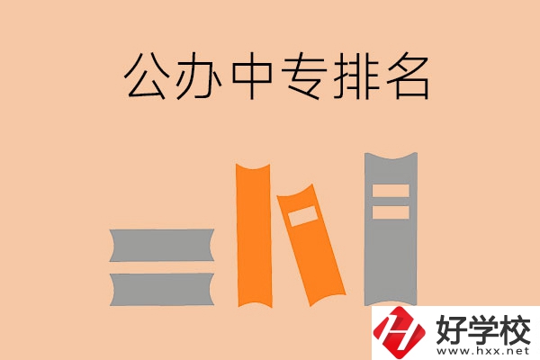 湘潭公辦中專排名前五的是哪些？