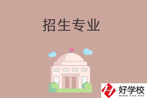 益陽有哪些高職院校設(shè)立了中職部？招生專業(yè)有哪些？