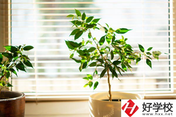 湖南省商業(yè)技師學(xué)院有哪些教學(xué)特色？報(bào)考有何要求？