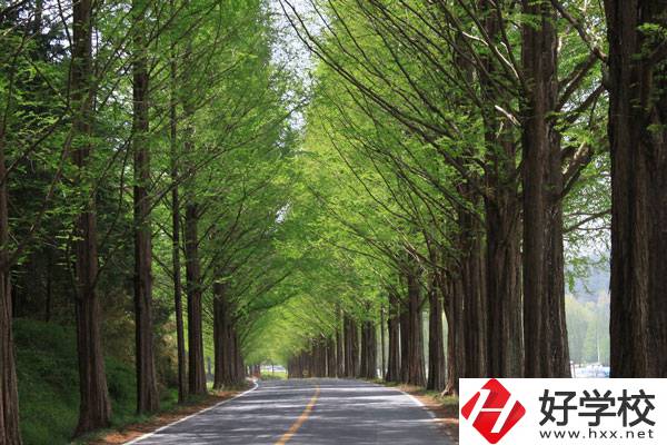 張家界的公辦中職學(xué)校有哪些？