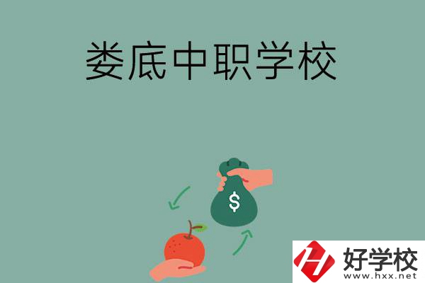 婁底市有哪些中職學校？排名前五的是哪幾所？