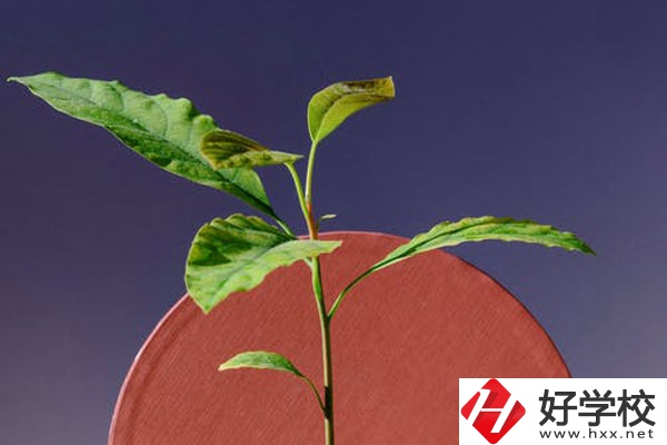 株洲市工業(yè)中等專(zhuān)校怎么樣？好不好？