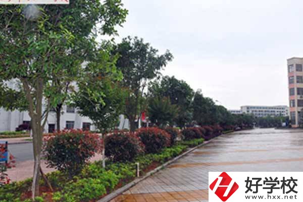 長沙市電子工業(yè)學(xué)校開設(shè)了哪些專業(yè)，附招生要求？