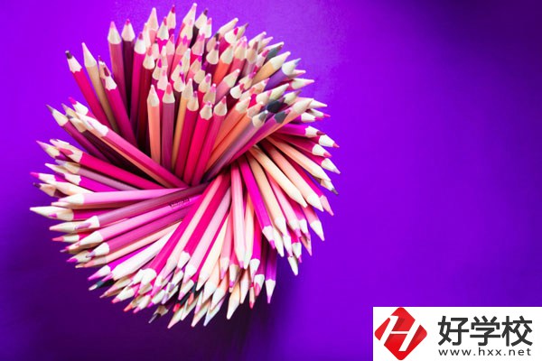 在懷化有什么職?？梢詫W(xué)習(xí)幼師？好不好？
