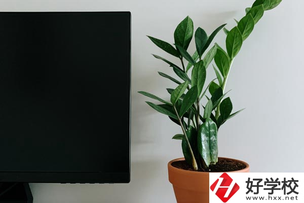 岳陽市網(wǎng)絡工程職業(yè)技術學校有哪些熱門專業(yè)？