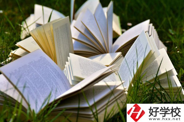 中方縣職業(yè)中等專業(yè)學(xué)校有什么專業(yè)？好不好？