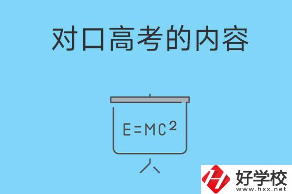 湖南職高對(duì)口高考主要考什么內(nèi)容？難度大不大？