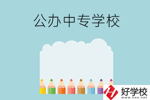 湖南地區(qū)有哪些公辦的中專學(xué)?？梢酝扑]呢？