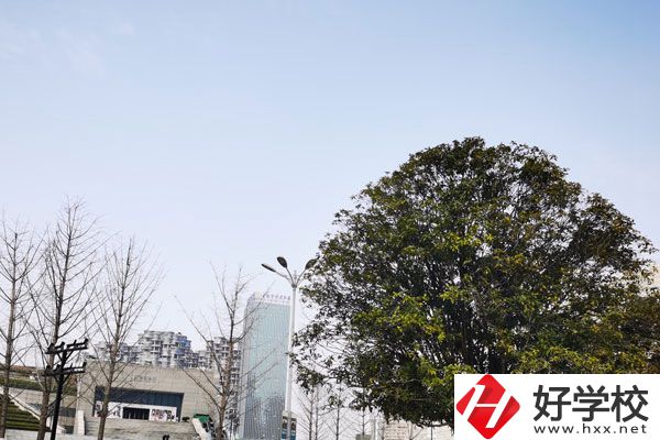益陽科技工程學(xué)校有哪些專業(yè)？就業(yè)如何？