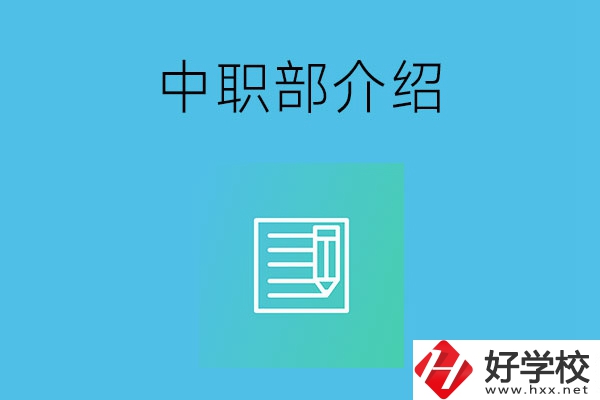 湘潭院校中職部介紹，這幾所學(xué)校你知道嗎？