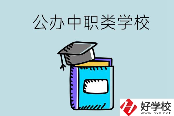 湘西的公辦中職類學校一共有多少所？