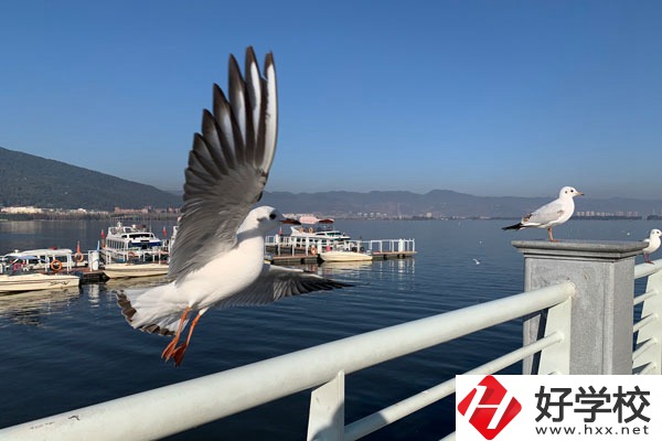 準備讀中專，衡陽縣職業(yè)中專好不好？