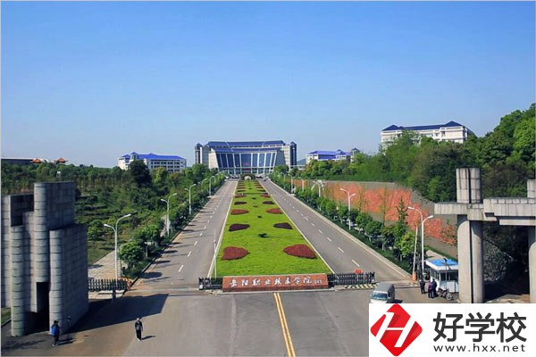岳陽(yáng)職業(yè)技術(shù)學(xué)院校門