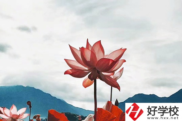 隆回華星職業(yè)技術學校有哪些專業(yè)？值得學生報考么？